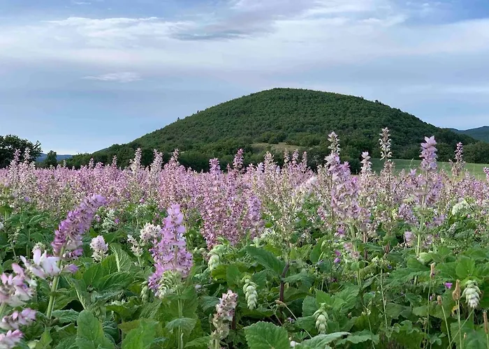 Villa Design In Provence *